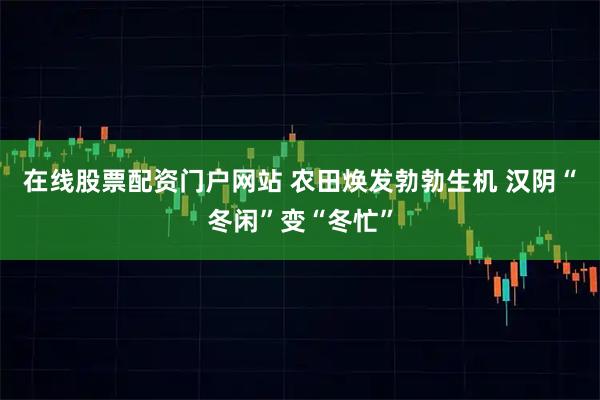 在线股票配资门户网站 农田焕发勃勃生机 汉阴“冬闲”变“冬忙”