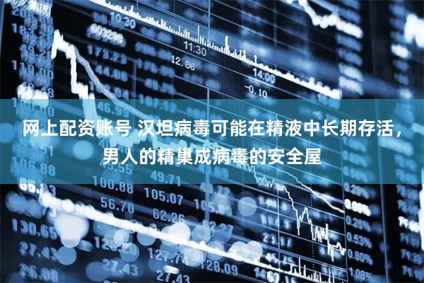 网上配资账号 汉坦病毒可能在精液中长期存活,男人的精巢成病毒的安全屋